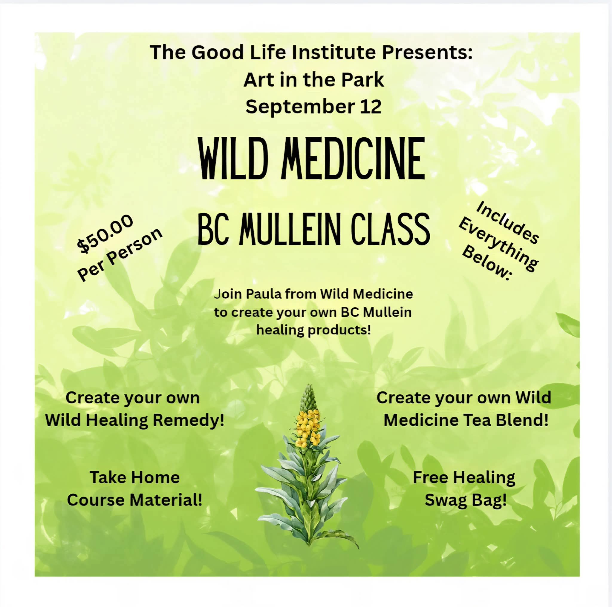 Wild Medicine BC Mullein Class with Paula poster